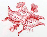 "Asiatic Plants" Mark