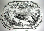 Zoological Scetches plate