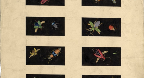 Minton's Folio Friday 